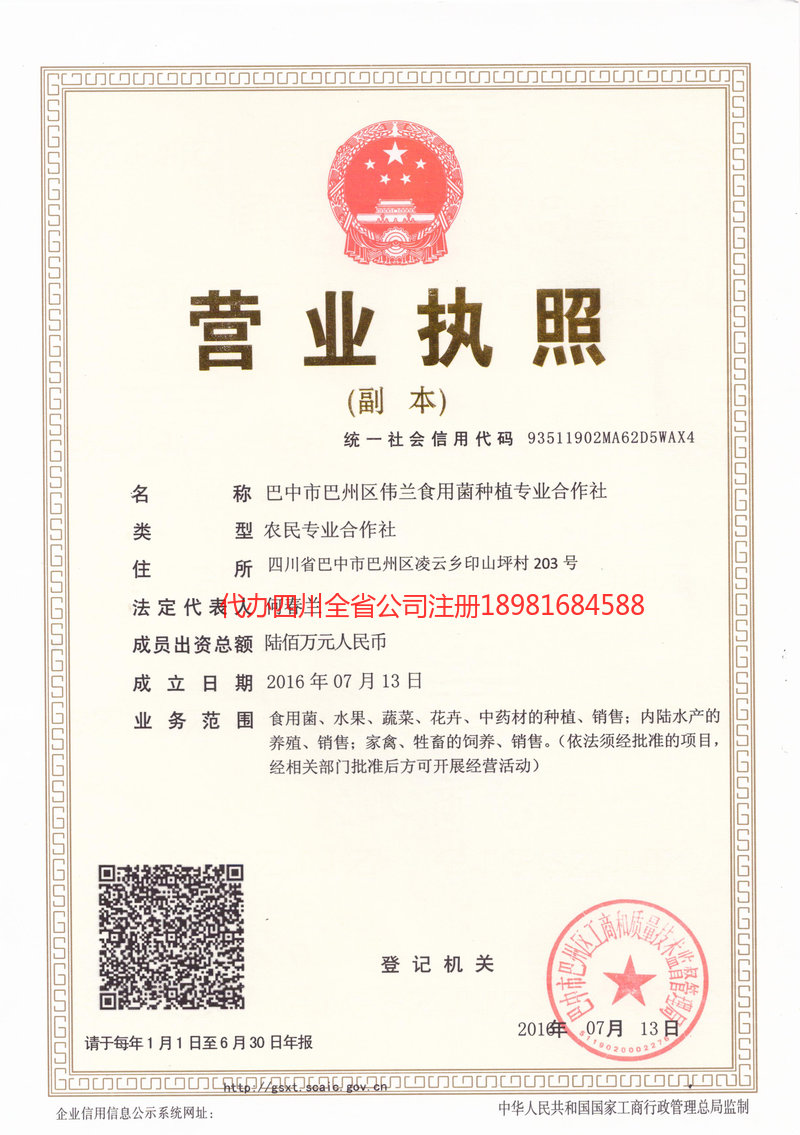 昆明市昆明市伟兰食用菌种植专业合作社